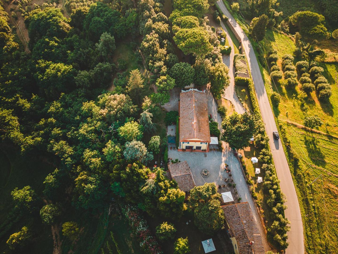 Fattoria Laviosa Lägenhet Fauglia Exteriör bild